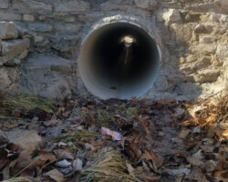 Bentonsport Bentonsport