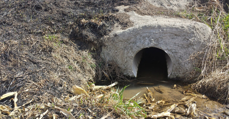 Ditch Burning is No Match for SWL Ditch Burning is No Match for SWL