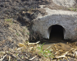 Ditch Burning is No Match for SWL Ditch Burning is No Match for SWL