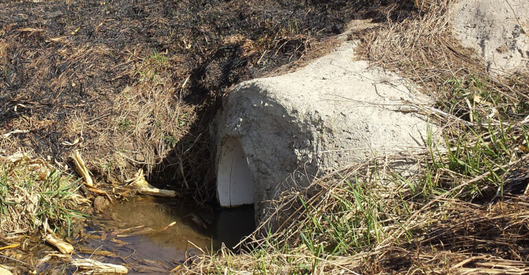 Ditch Burning is No Match for SWL Ditch Burning is No Match for SWL