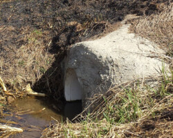 Ditch Burning is No Match for SWL Ditch Burning is No Match for SWL