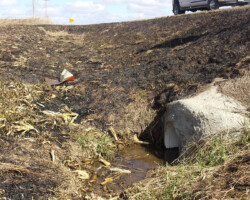 Ditch Burning is No Match for SWL Ditch Burning is No Match for SWL