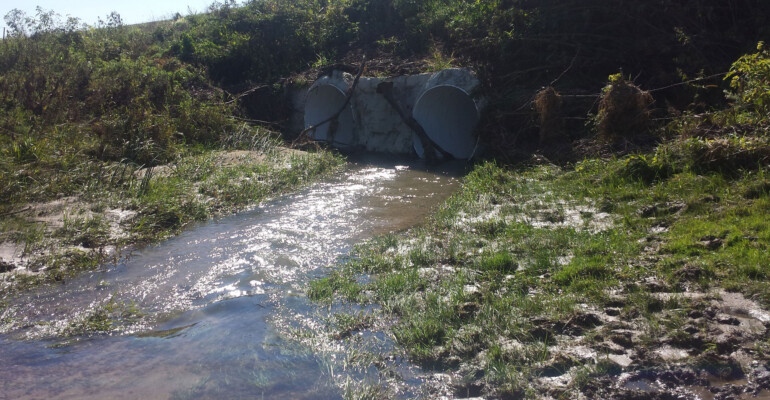 Mitchell County Mitchell County