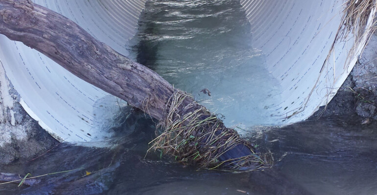 Mitchell County Mitchell County