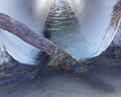 Mitchell County Mitchell County